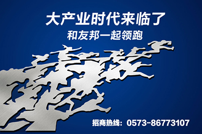 大產(chǎn)業(yè)時代來臨 友邦吊頂火熱招商