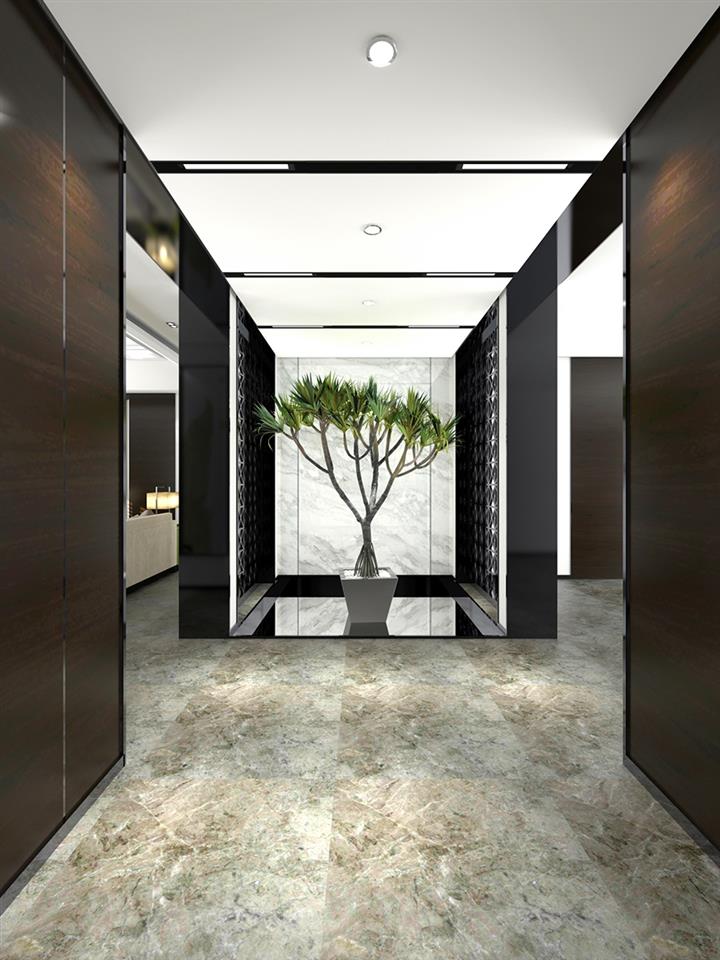 世紀(jì)豪門大板系列新品效果圖