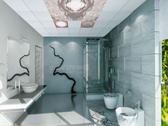 藍(lán)姆特吊頂 智尚系列